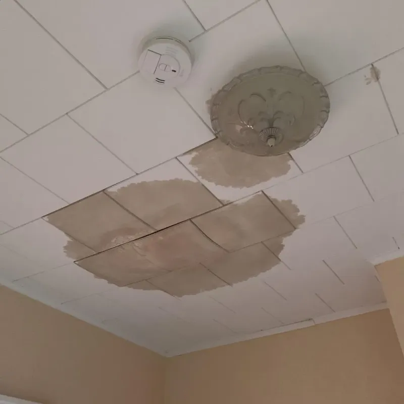 Ceiling Water Damage Repair in Long Neck, DE