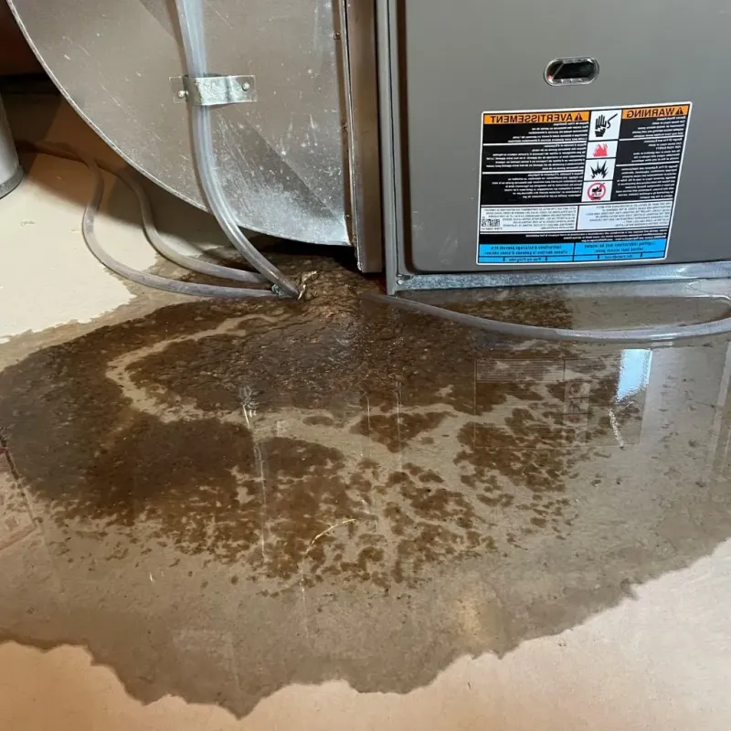 Pipe Burst and Leak Restoration in Long Neck, DE